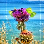 Lägenhet πολυτελης Ierissos