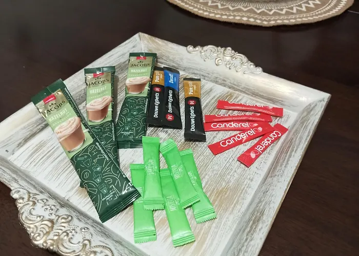 公寓 πολυτελης *