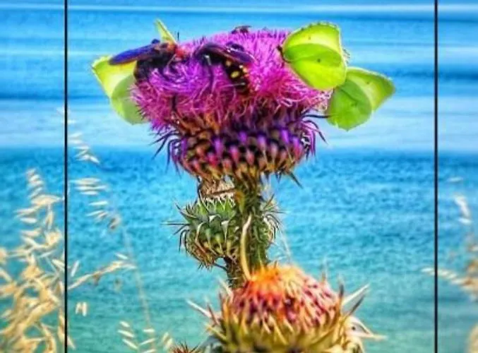 公寓 πολυτελης 伊里斯斯