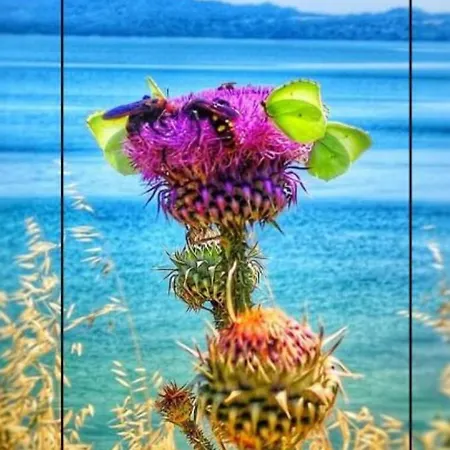 Lejlighed πολυτελης Ierissos